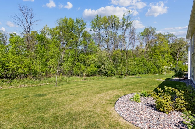 8014 Walnut Ln, Corcoran, MN 55340 - view of green lawn