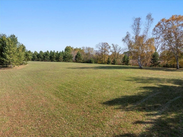 view of green lawn with a wooded view