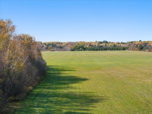 view of local wilderness