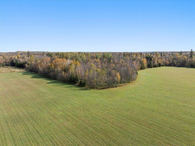 bird's eye view of a forest