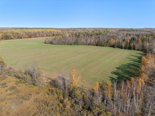 bird's eye view of a forest