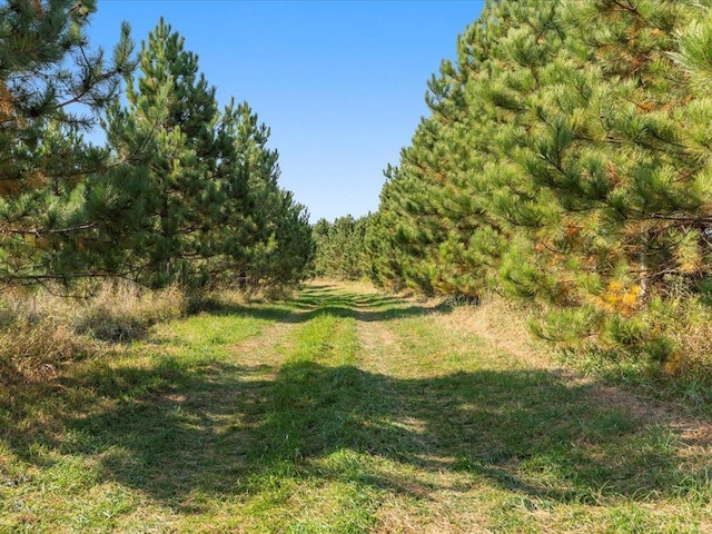 view of undeveloped land