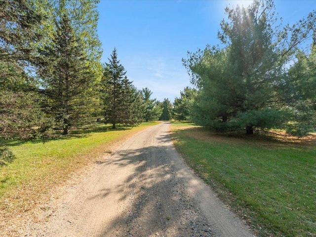 view of dirt / gravel road