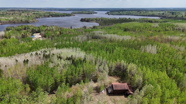 3333 Randa Rd, Orr, MN 55771 - view of property location with a large body of water and a heavily wooded area