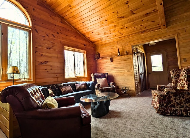 3333 Randa Rd, Orr, MN 55771 - living area featuring vaulted ceiling, wooden walls, healthy amount of natural light, and wood ceiling