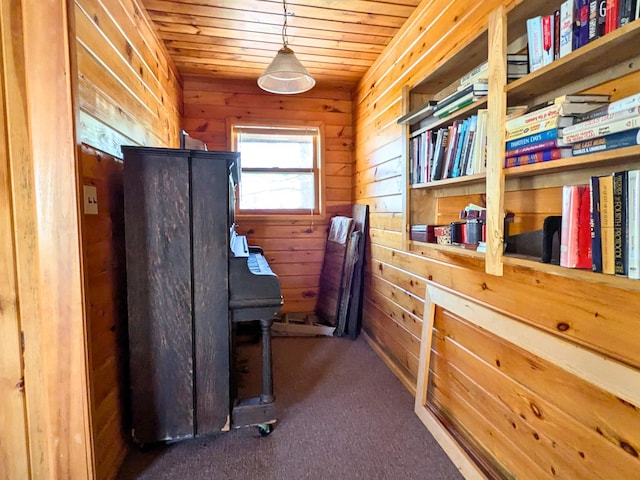 3333 Randa Rd, Orr, MN 55771 - bedroom featuring wooden walls, wooden ceiling, and carpet