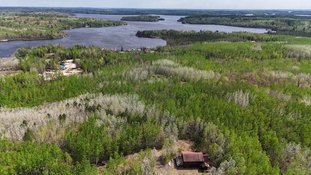 3333 Randa Rd, Orr, MN 55771 - view of property location featuring a nearby body of water and a heavily wooded area