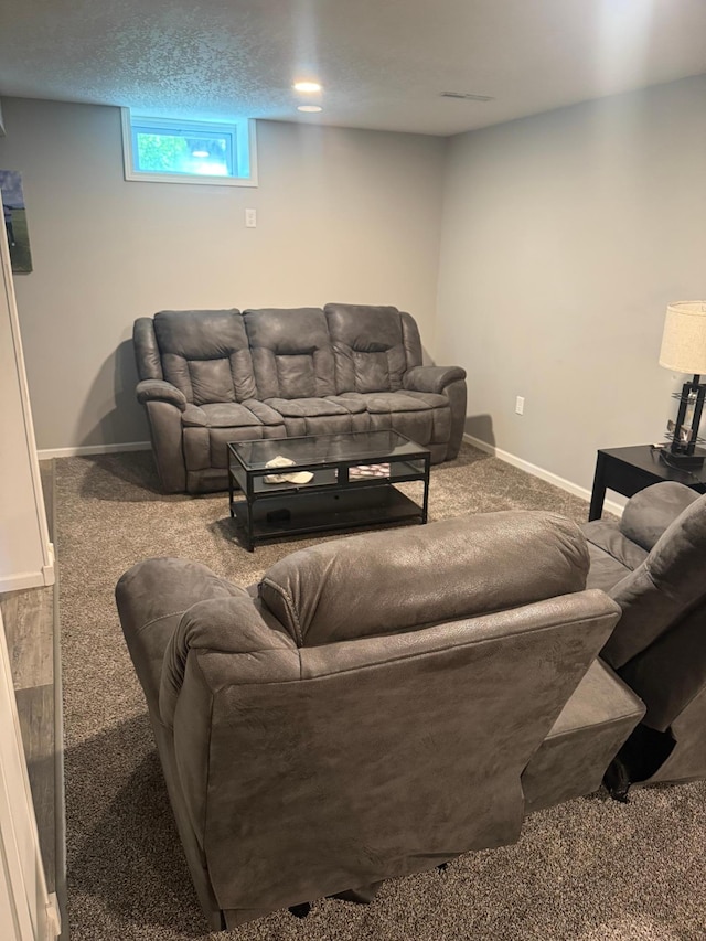 7000 164th Ave NW, Ramsey, MN 55303 - carpeted living area with baseboards