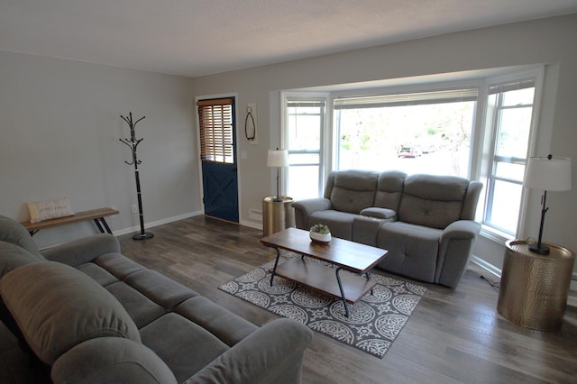 7000 164th Ave NW, Ramsey, MN 55303 - living room featuring wood finished floors, plenty of natural light, and baseboards