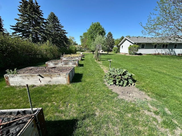 4220 23rd St NW, Willmar, MN 56201 - view of green lawn featuring a vegetable garden