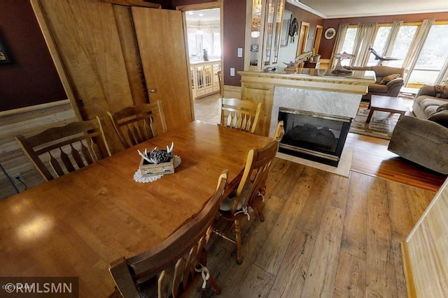 404 Clayborn Ave, Parkers Prairie, MN 56361 - dining space with hardwood / wood-style floors, ornamental molding, and a fireplace