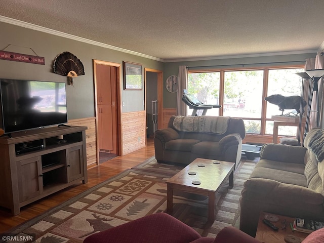 404 Clayborn Ave, Parkers Prairie, MN 56361 - living room with crown molding, wainscoting, a textured ceiling, and wood finished floors