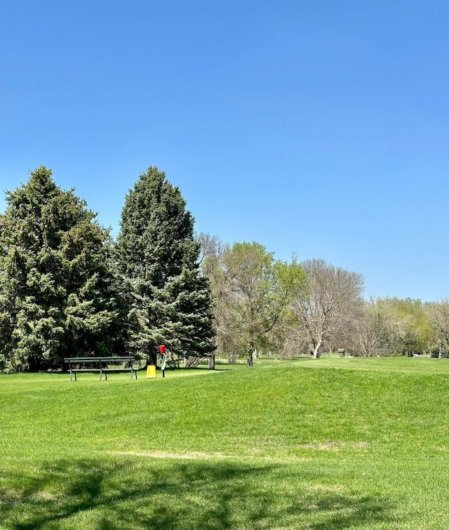 view of home's community with a yard