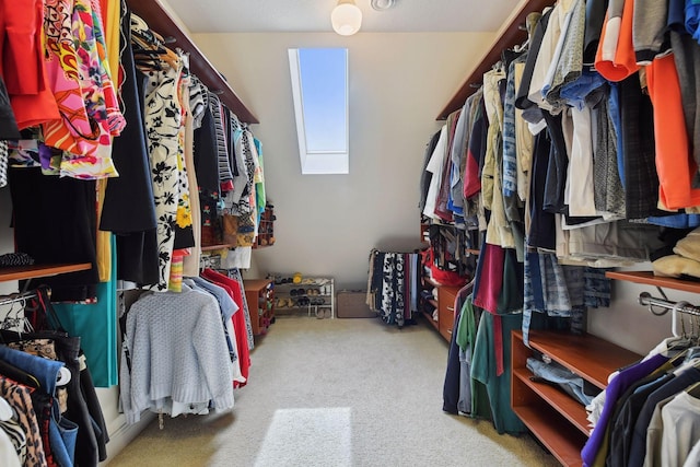 walk in closet featuring carpet flooring