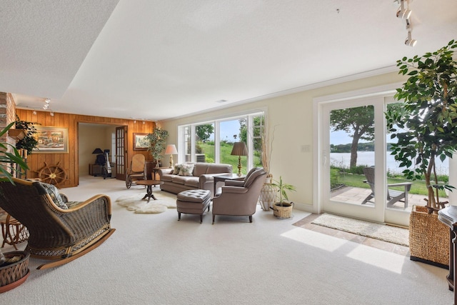 carpeted living room with plenty of natural light, wooden walls, and a water view