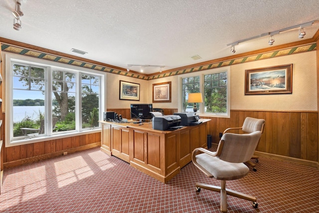 office space featuring rail lighting, wainscoting, wood walls, a textured ceiling, and a water view