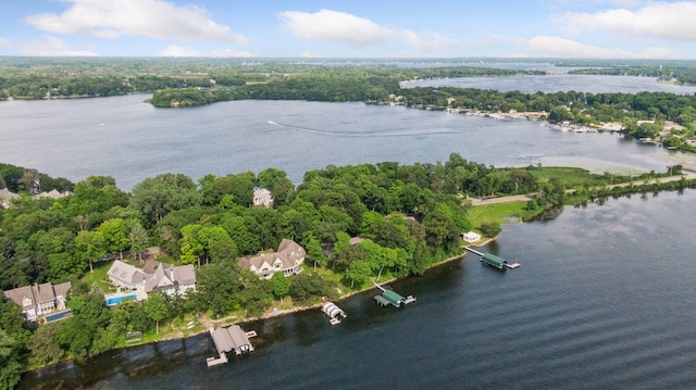bird's eye view of a large body of water and a heavily wooded area