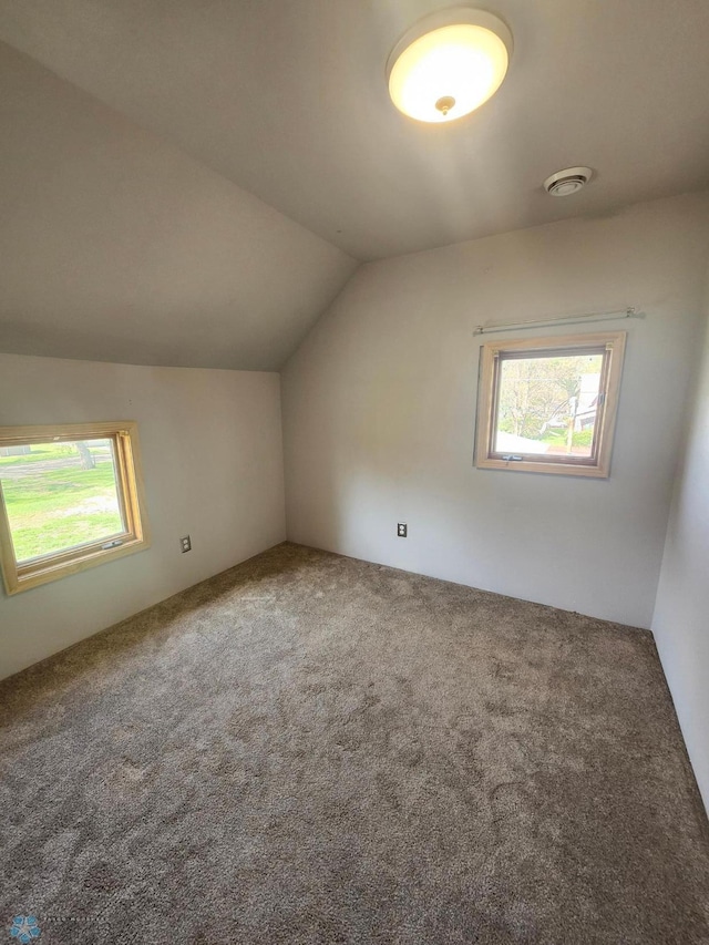 26 5th Ave SE, Lidgerwood, ND 58053 - additional living space with carpet flooring and vaulted ceiling