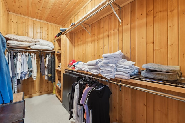 5784 Mcgowan Rd, Brainerd, MN 56401 - spacious closet featuring carpet floors