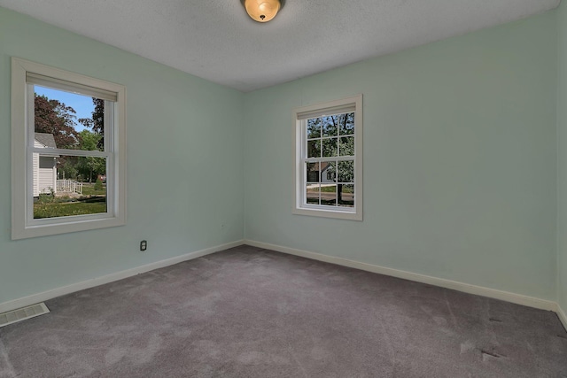 1317 8th Ave N, Saint Cloud, MN 56303 - unfurnished room featuring plenty of natural light, carpet floors, baseboards, and a textured ceiling