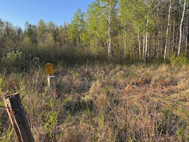 TBD 180th Ln, Mcgrath, MN 56350 - photo 6