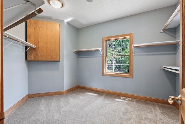 walk in closet featuring carpet floors