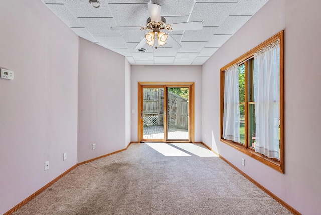 empty room featuring ceiling fan, carpet floors, baseboards, and a drop ceiling