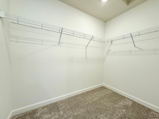 walk in closet with carpet flooring