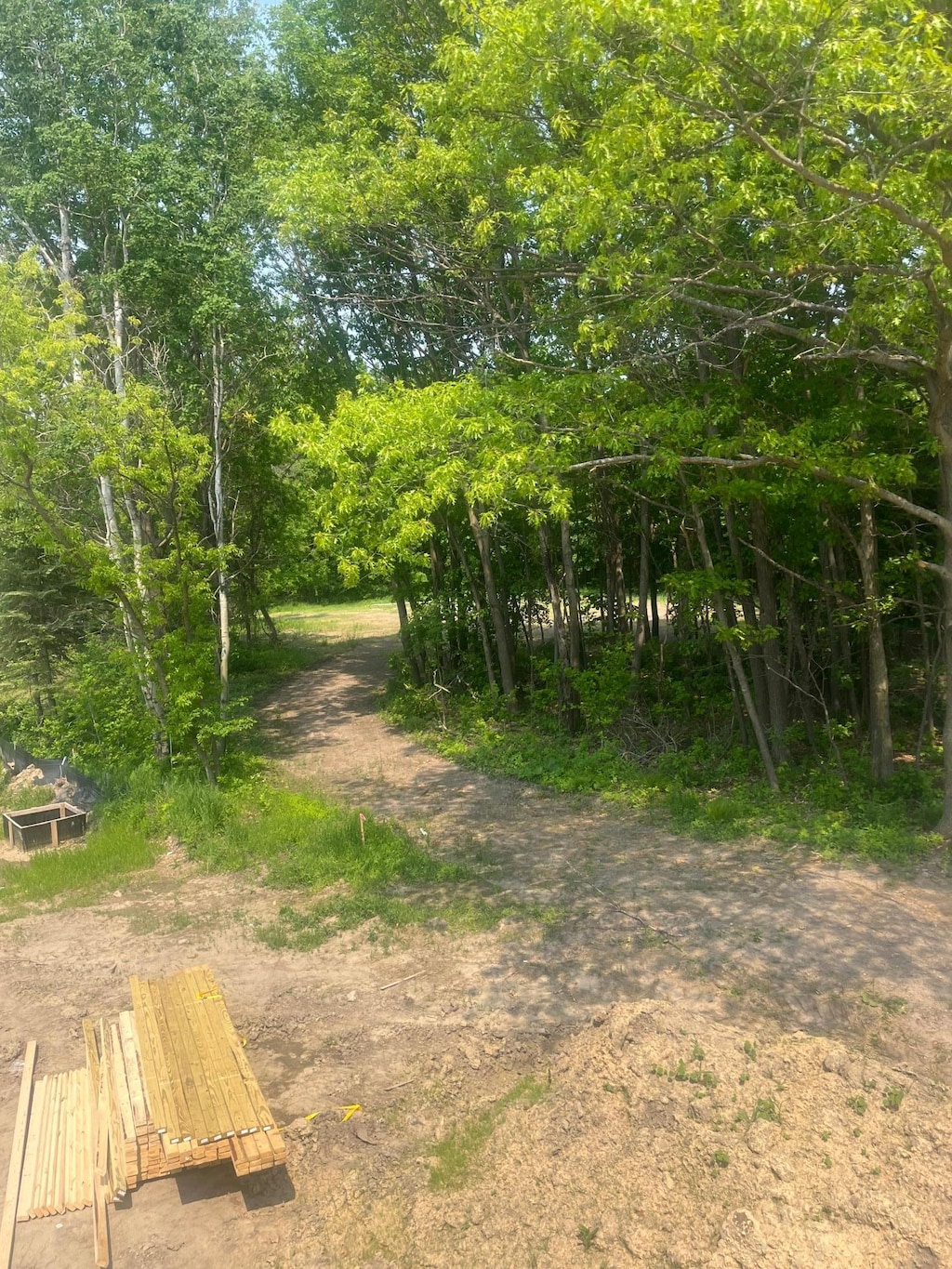 14550 107th Pl, Maple Grove, MN 55369 - view of nature