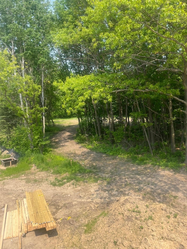14550 107th Pl, Maple Grove, MN 55369 - view of nature