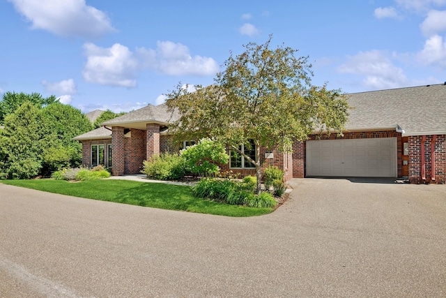 217 Canyon Dr, Hudson, WI 54016 - view of front of property featuring brick siding, driveway, a garage, and roof with shingles