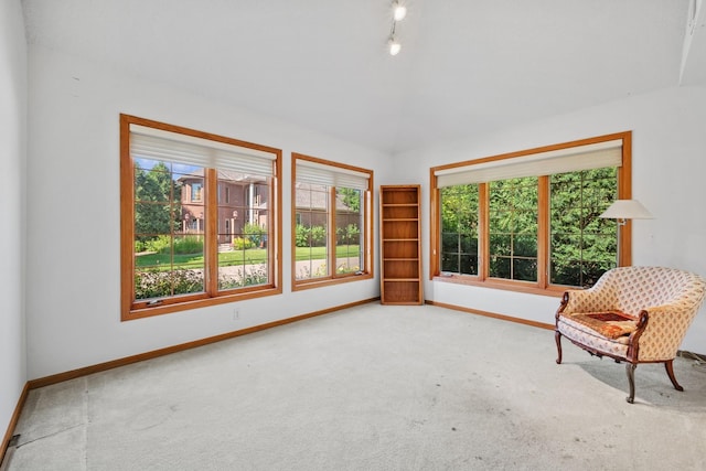 217 Canyon Dr, Hudson, WI 54016 - unfurnished room featuring healthy amount of natural light and carpet