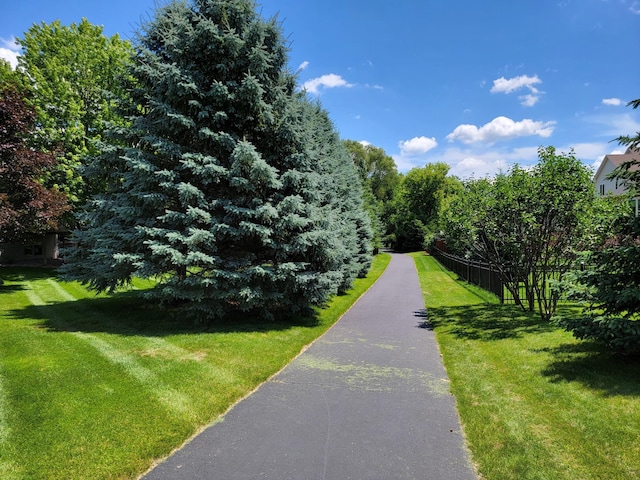 217 Canyon Dr, Hudson, WI 54016 - view of community with a lawn