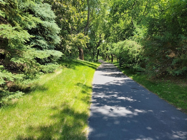 217 Canyon Dr, Hudson, WI 54016 - view of street featuring a view of trees