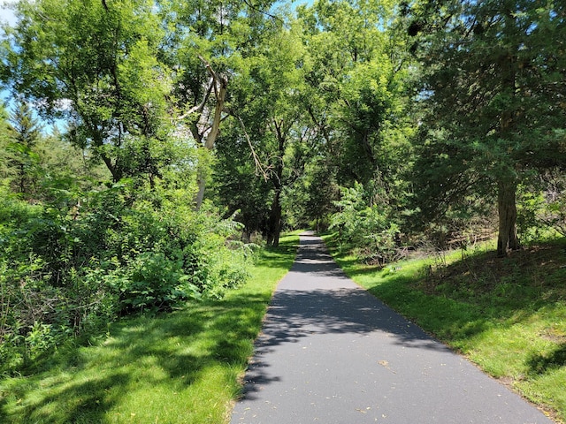 217 Canyon Dr, Hudson, WI 54016 - view of road with a view of trees