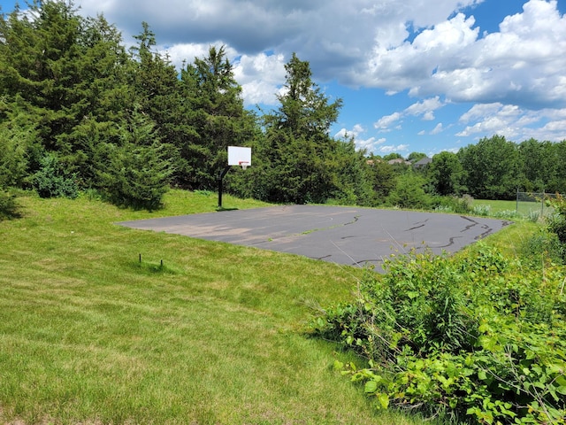 217 Canyon Dr, Hudson, WI 54016 - view of sport court with a yard and community basketball court