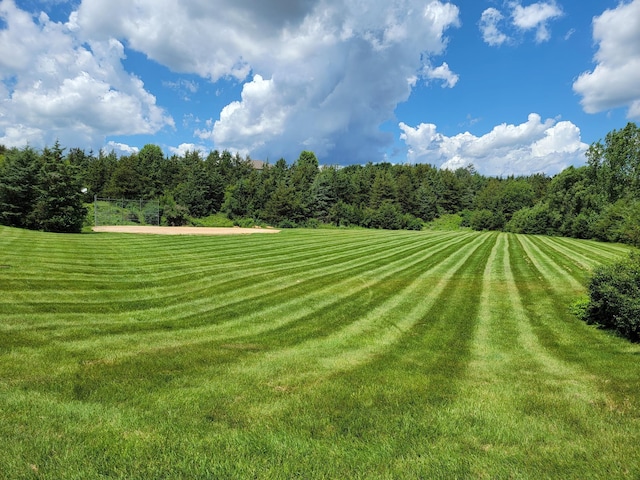 217 Canyon Dr, Hudson, WI 54016 - view of green lawn
