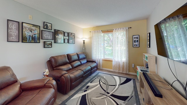 living room with wood finished floors and baseboards