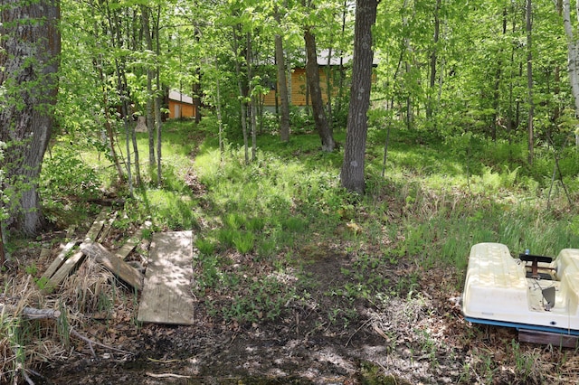 view of yard featuring a view of trees