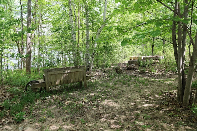view of yard with a view of trees