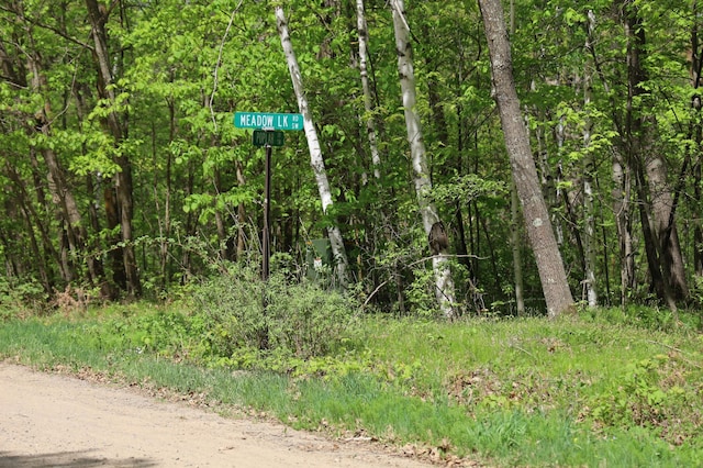 view of woods