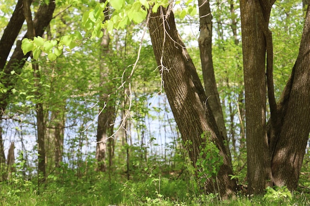 view of nature
