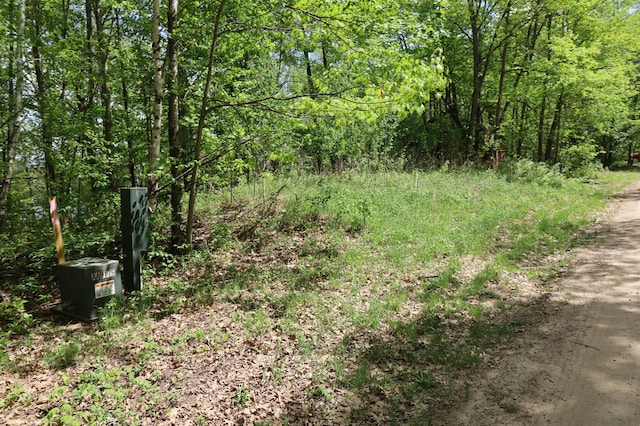 view of wooded area