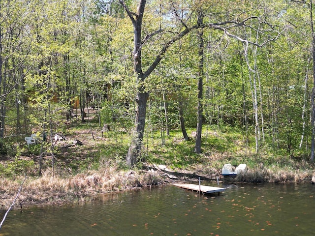 view of dock