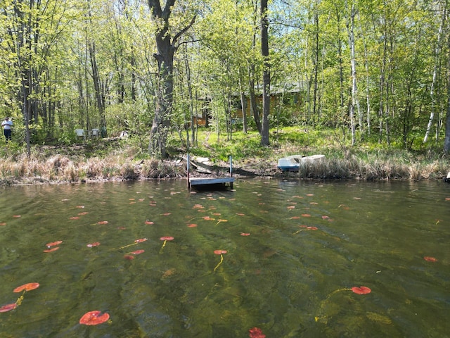 view of dock