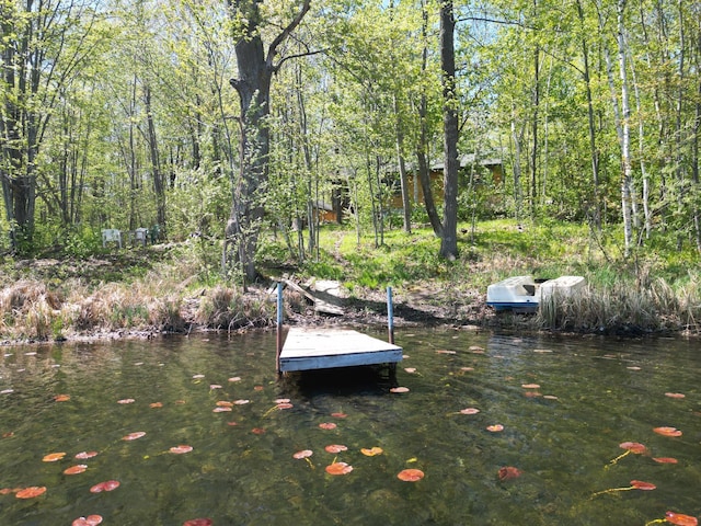 view of dock area