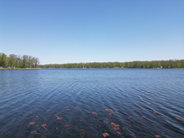 water view