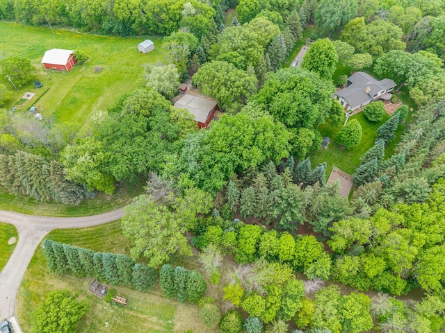bird's eye view