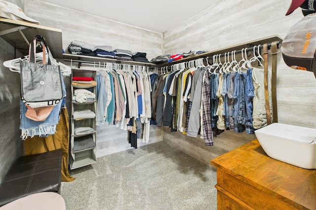 spacious closet with carpet