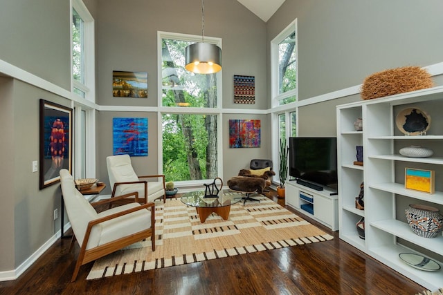 2 Edgcumbe Pl, Saint Paul, MN 55116 - living room featuring high vaulted ceiling, wood finished floors, healthy amount of natural light, and baseboards